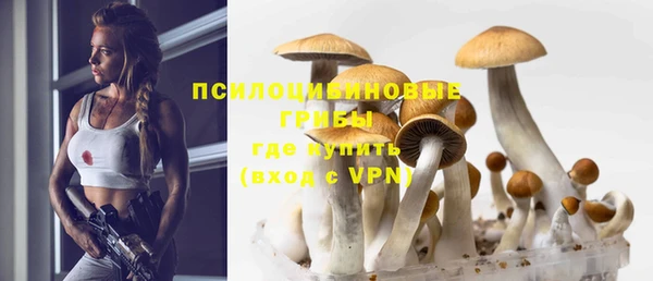 герыч Верхний Тагил