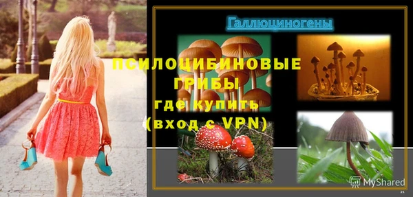 герыч Верхний Тагил