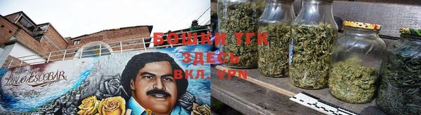 амф Верея