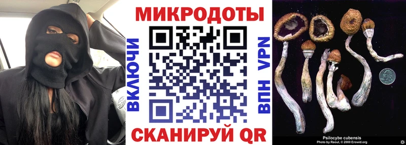 Галлюциногенные грибы Cubensis  наркошоп  Карачаевск 