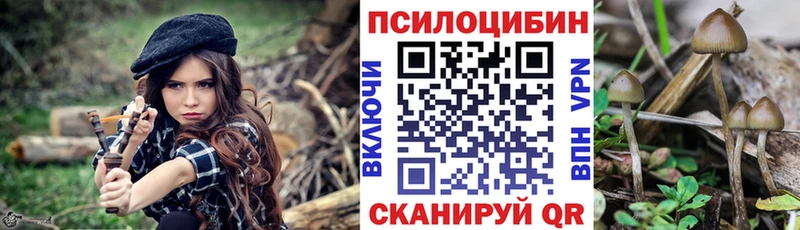 Псилоцибиновые грибы Magic Shrooms Карачаевск