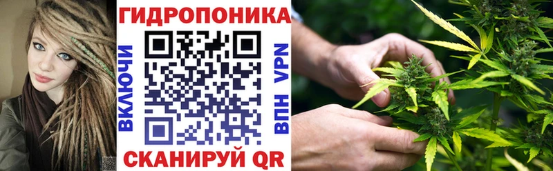 купить закладку Карачаевск блэк спрут рабочий сайт Конопля тримм